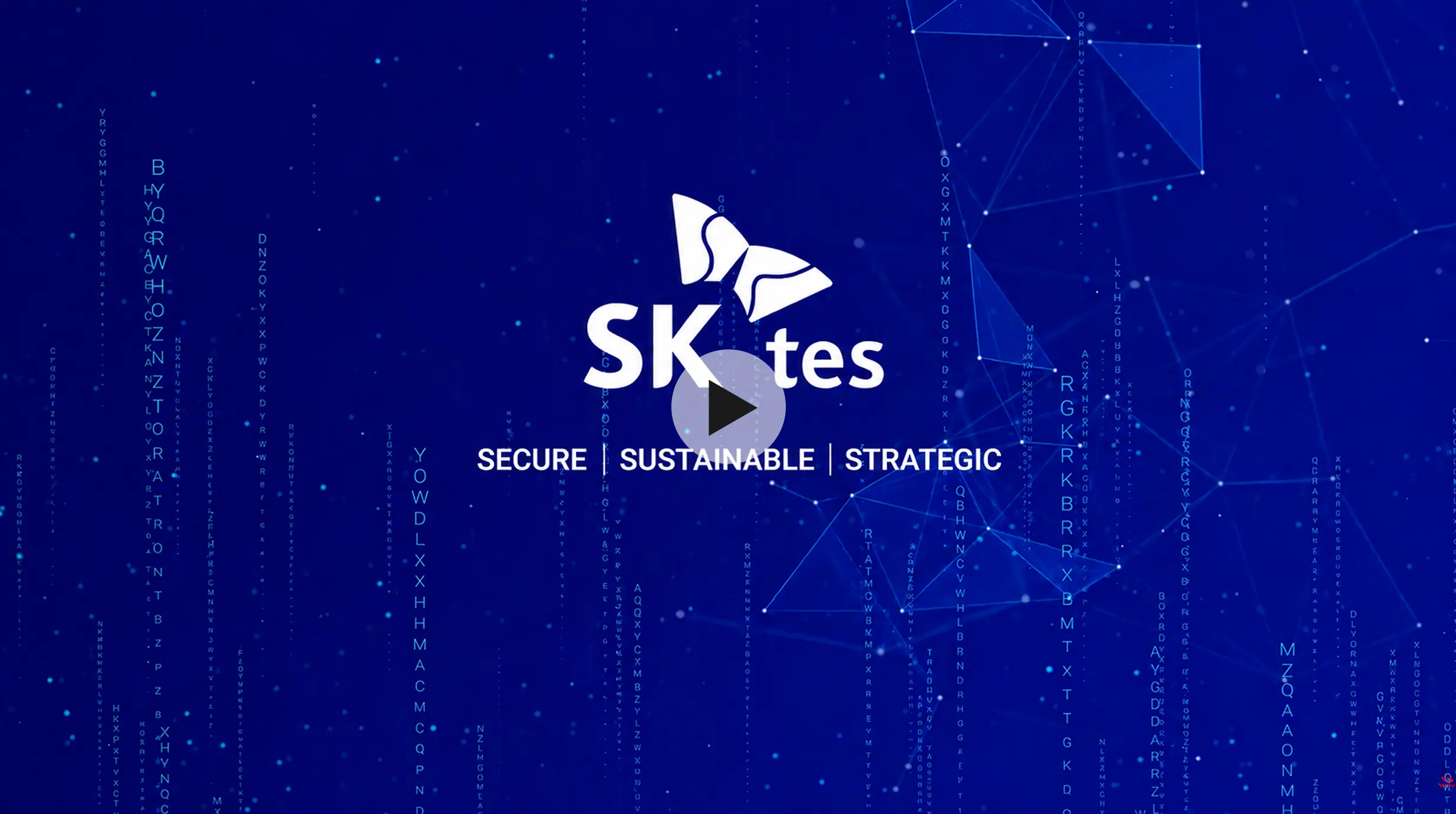 TES Singapore 紹介動画のサムネイル画像